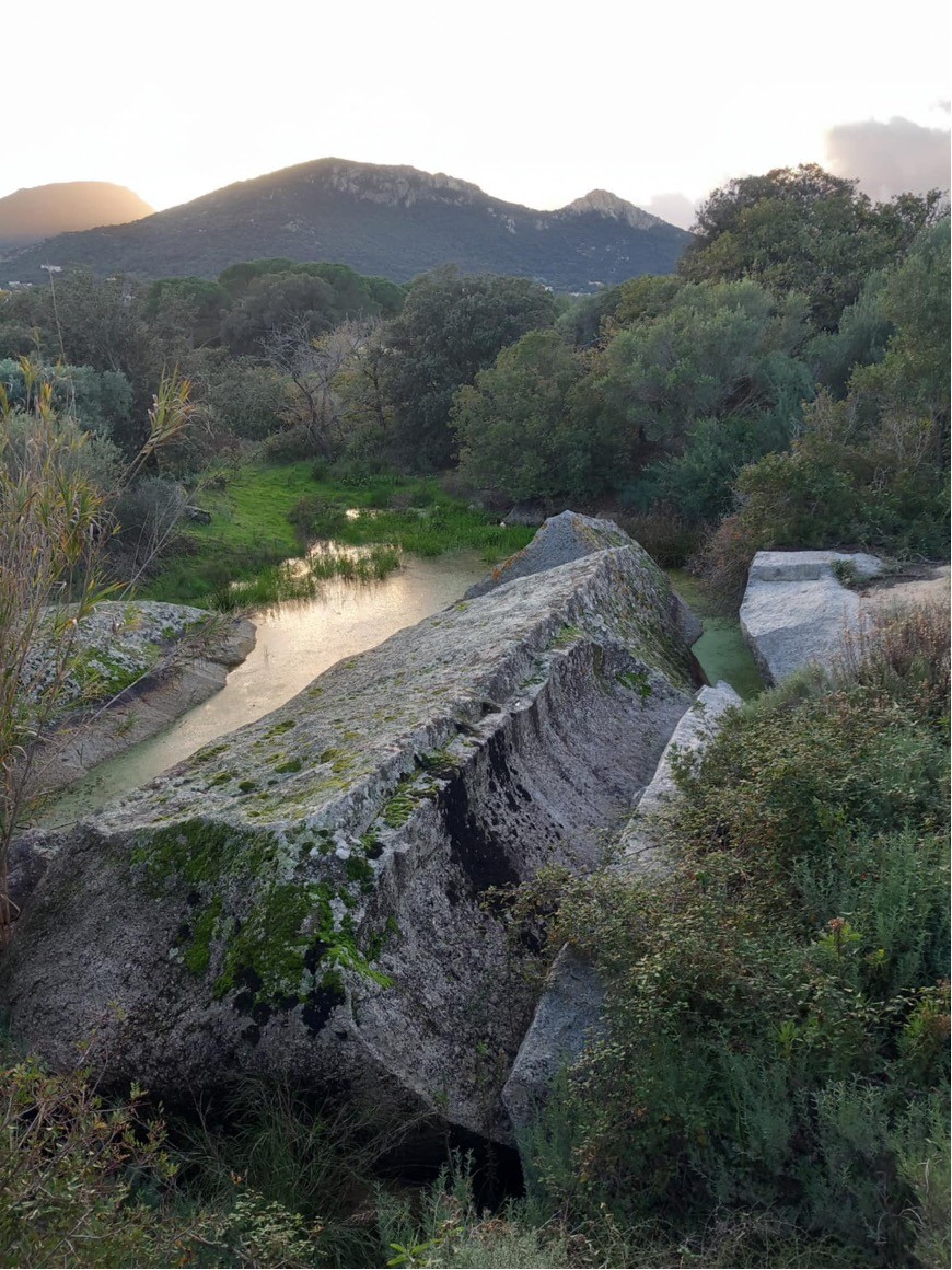 Granit Algajola (1er projet)