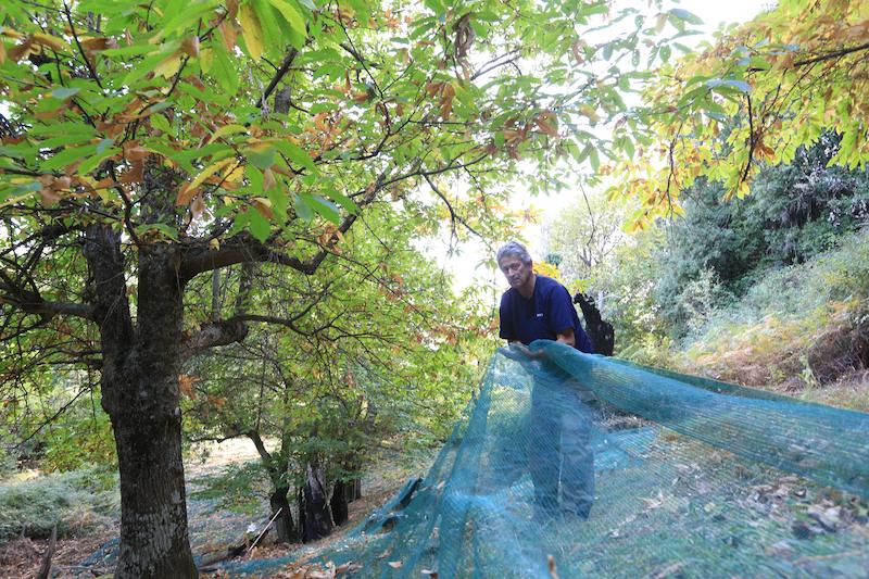>Portrait de Jean-Pierre Giordani (photo 3)