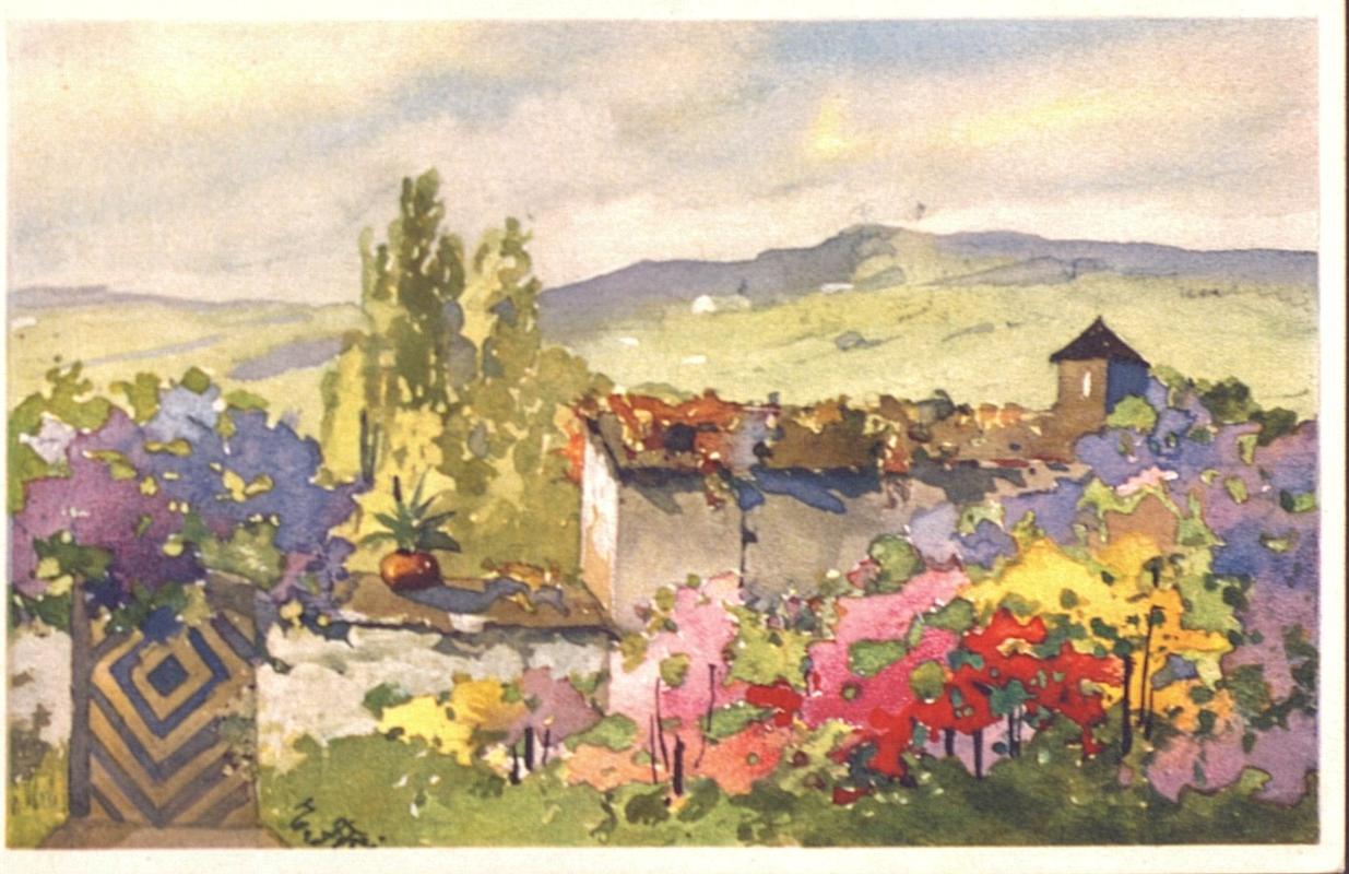 Cartes postales : nature et paysage (Joseph-Antoine Canasi)