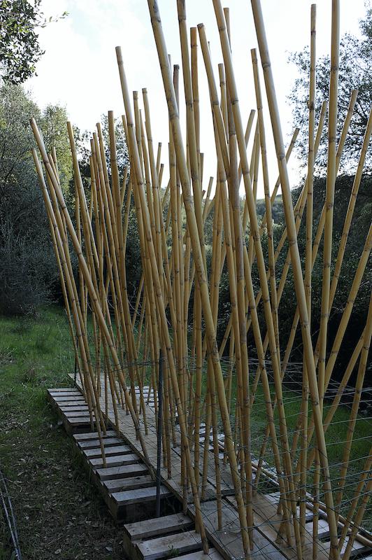 >Fabricant d’instruments de musique à vent — Romain Rancurel Giannoni (photo 13)