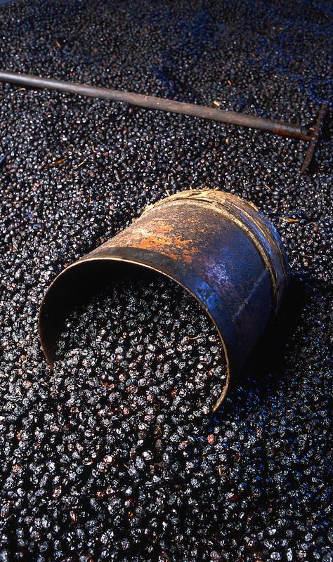 >Moulin à huile d’olive traditionnel (photo 15)