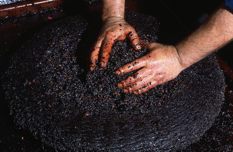 >Moulin à huile d’olive traditionnel (photo 31)