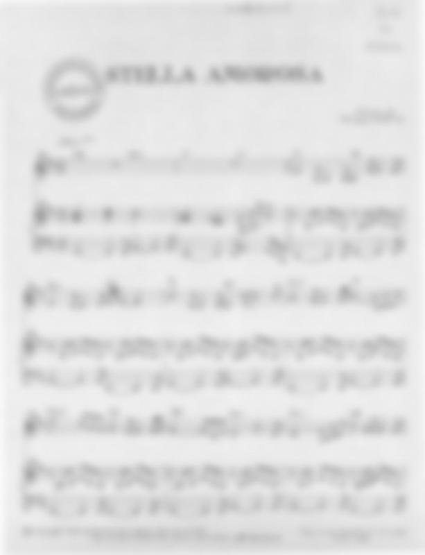 >Stella Amorosa