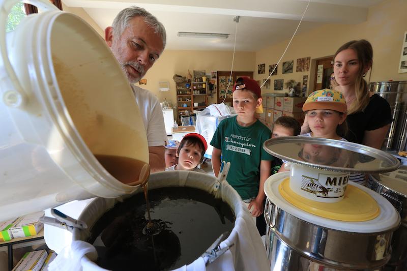 >Les enfants à la découverte du miel (photo 1)