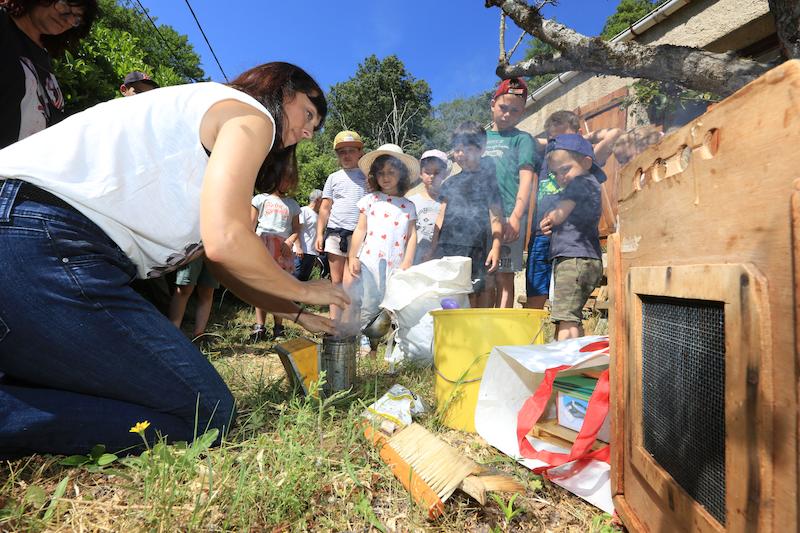 >Les enfants à la découverte du miel (photo 12)