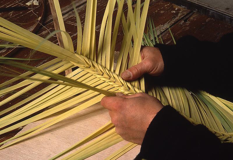 >Les Palmes - E Crucette (photo 22)