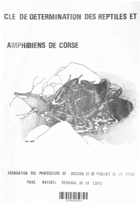 >Clé de détermination des reptiles et amphibiens de Corse