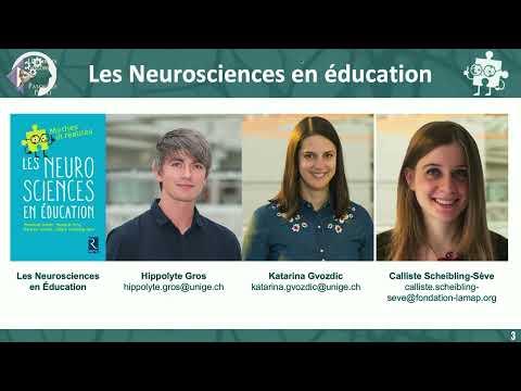 >Les neurosciences en éducation…entre mythes et réalités