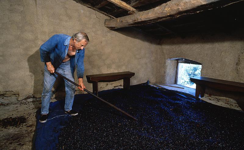 >Moulin à huile d’olive traditionnel (photo 12)