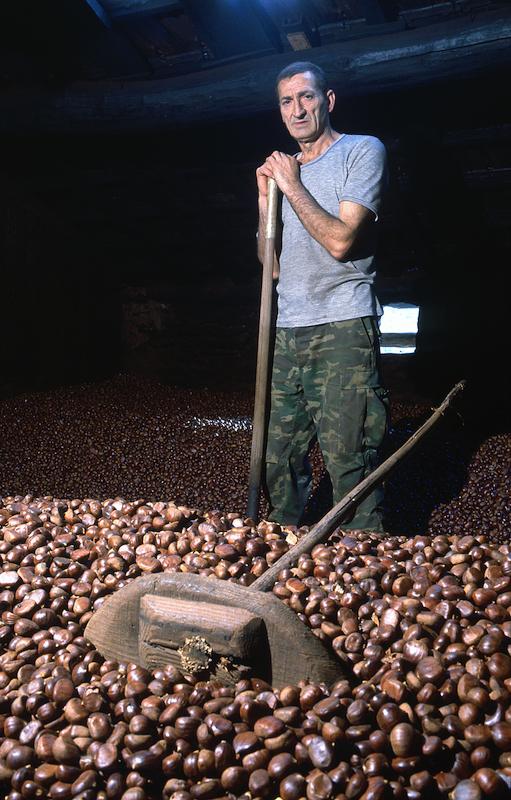 >Châtaignes : cueillette, séchage, moulin — Xavier Colombani (photo 47)