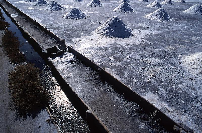 >Marais salants (photo 10)