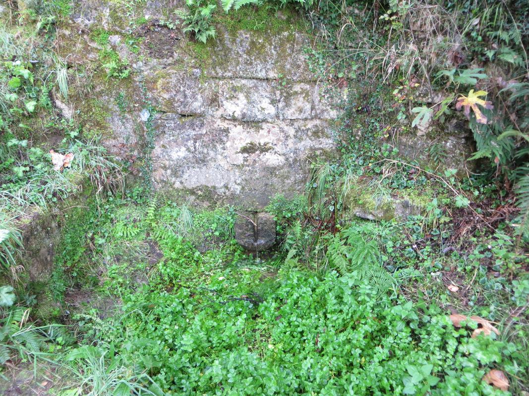 Fontaine dite de Pughjolu (Tagliati)
