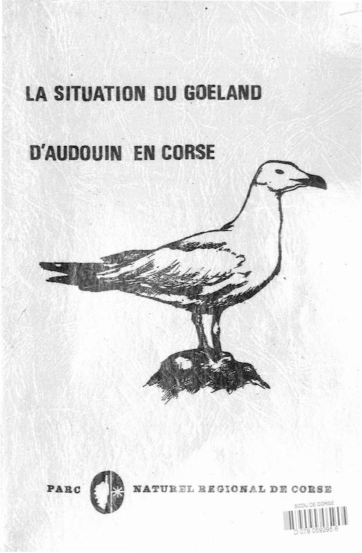 La situation du goéland d'Audouin en Corse