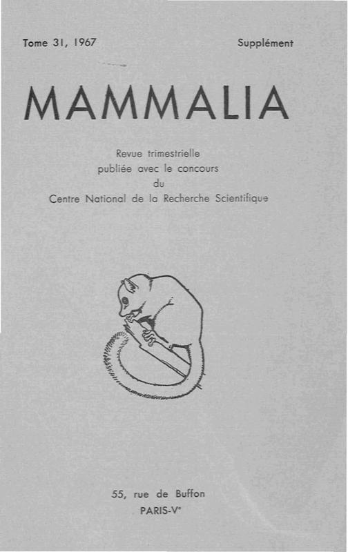 >Mammalia