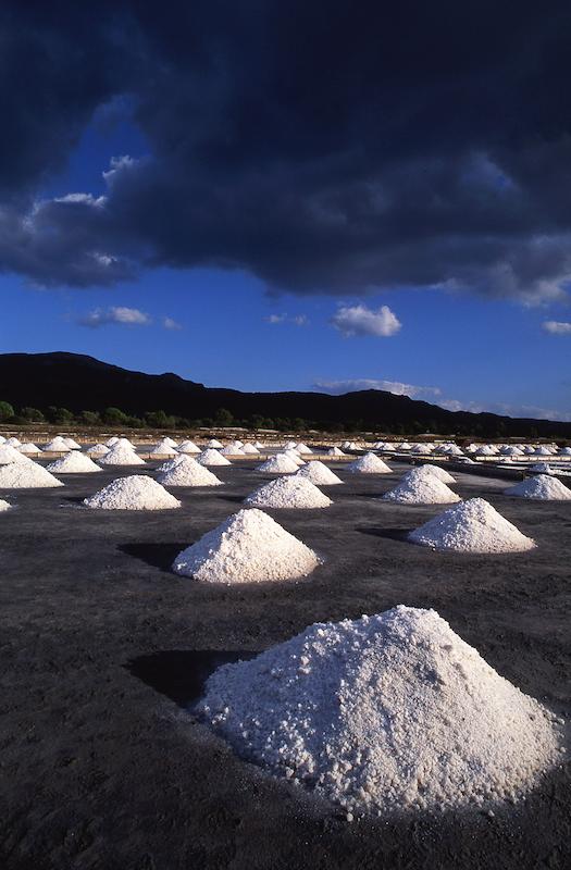 >Marais salants (photo 7)