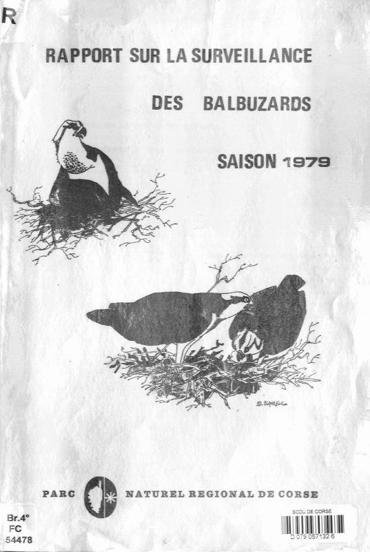 >Rapport sur la surveillance des balbuzards de Corse