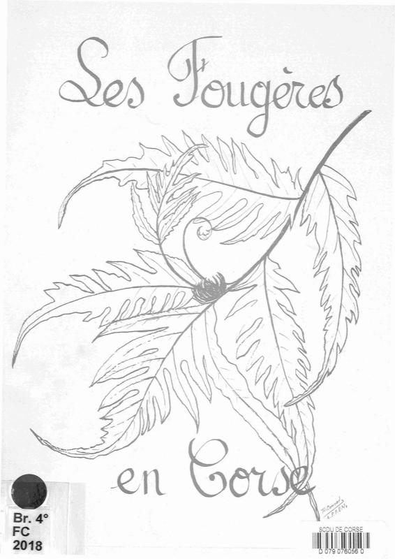 >Les Fougères en Corse