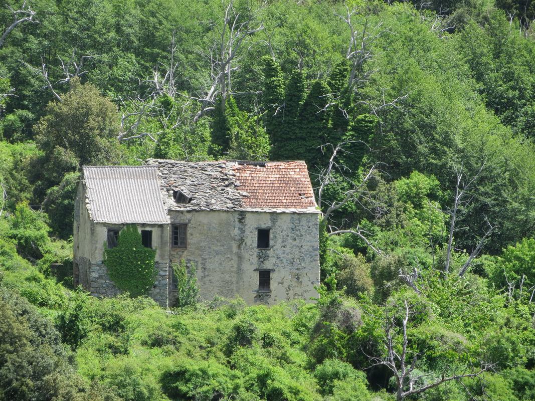 Maison de notable de la famille Vincenti (Molino Bianco)