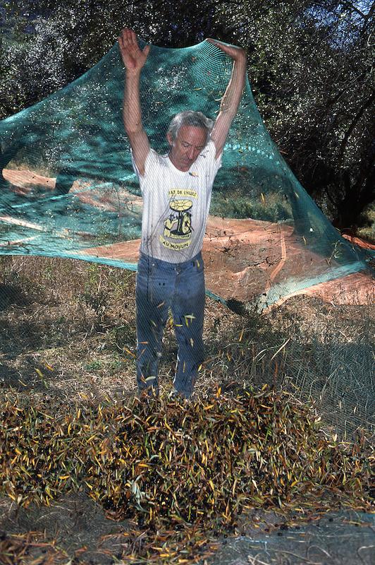 >Moulin à huile d’olive traditionnel (photo 4)