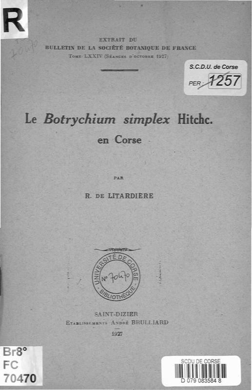 >Le botrychium simplex hitch. en Corse