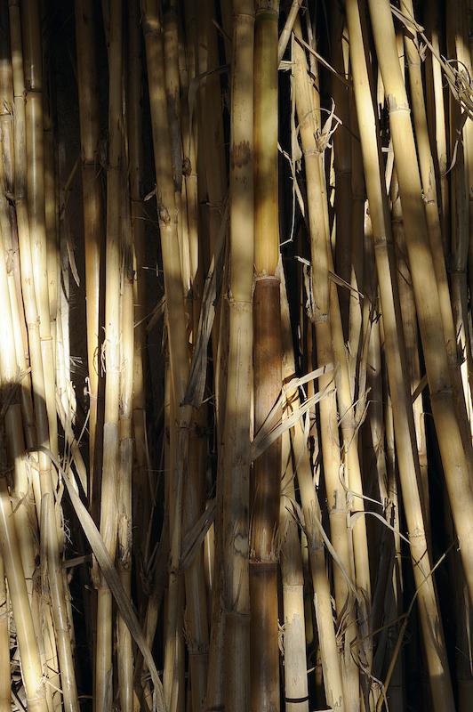 >Fabricant d’instruments de musique à vent — Romain Rancurel Giannoni (photo 12)