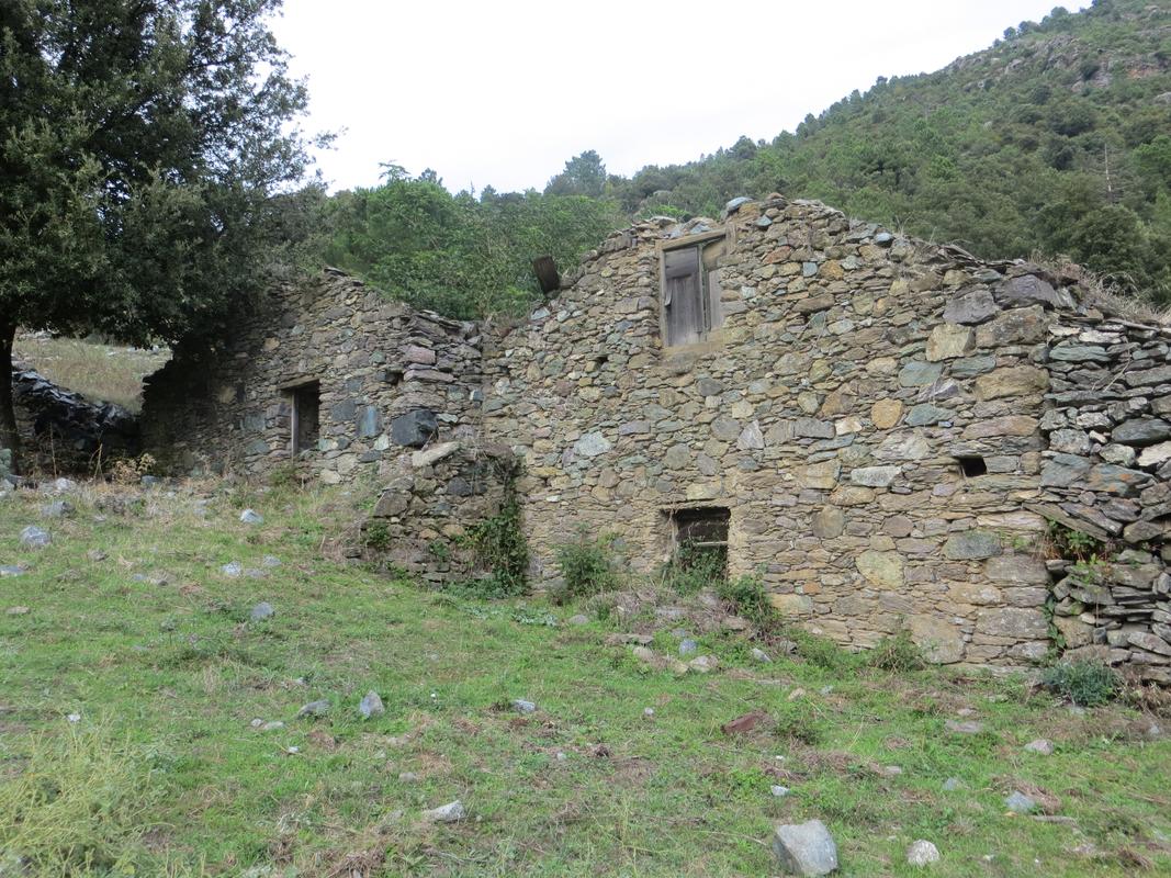 Maison (Borgo)