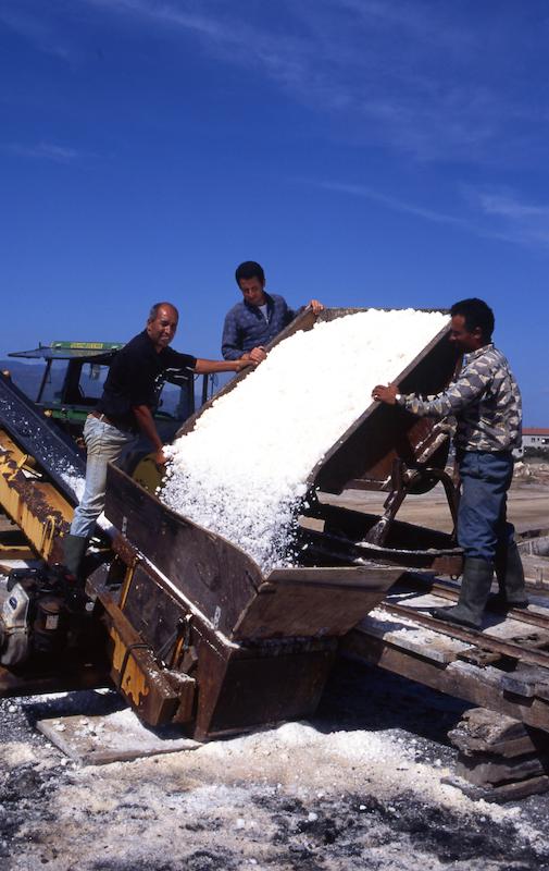 >Marais salants (photo 32)