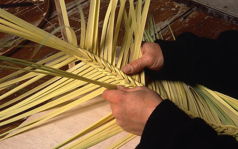 >Les Palmes - E Crucette (photo 20)