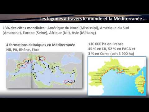 Cunferenza - Gestion et conservation des lagunes de Corse