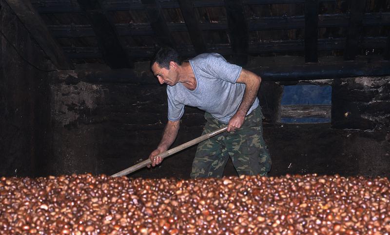 >Châtaignes : cueillette, séchage, moulin — Xavier Colombani (photo 46)