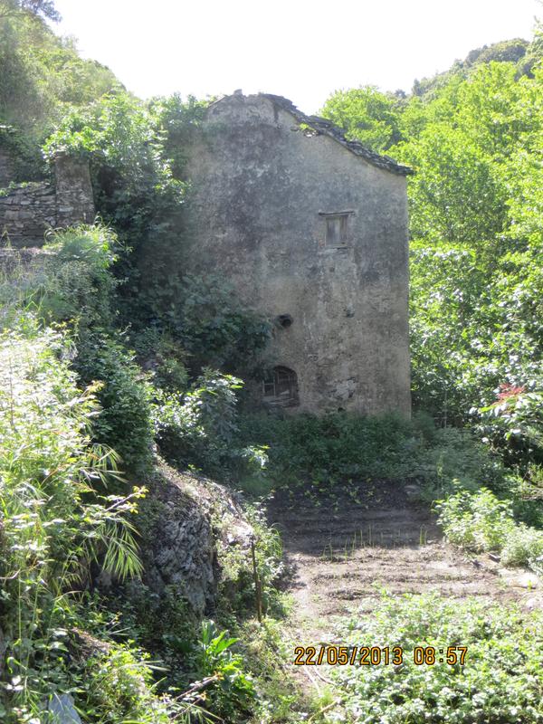 >Moulin à farine dit Mulinu Vecchiu (Molino Vecchio)