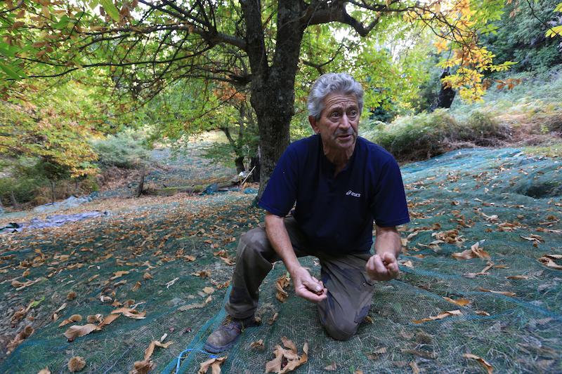 >Portrait de Jean-Pierre Giordani (photo 4)