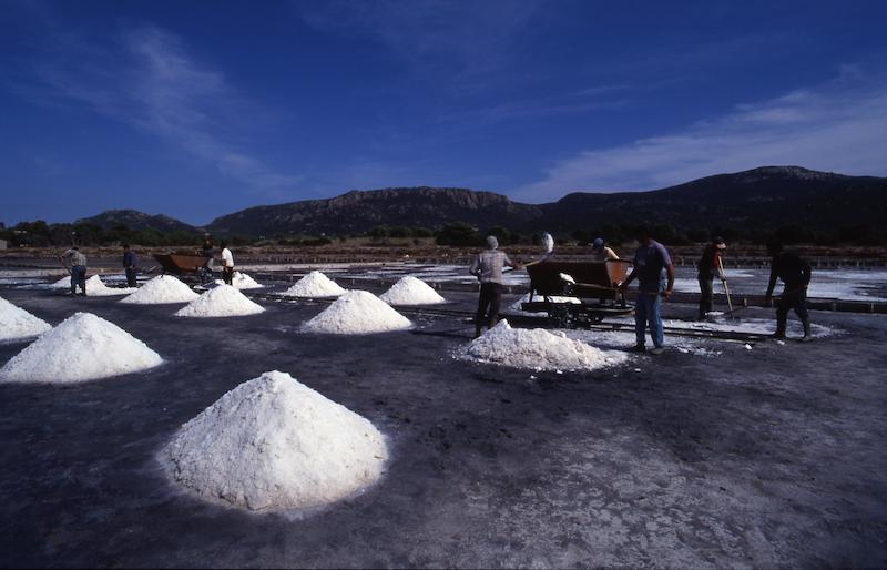 >Marais salants (photo 14)