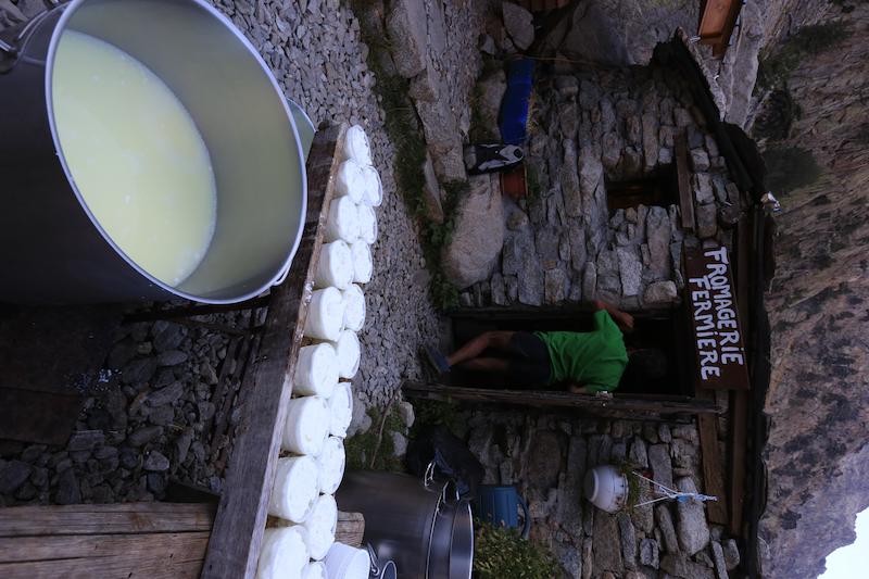Fabrication du brocciu (photo 1)