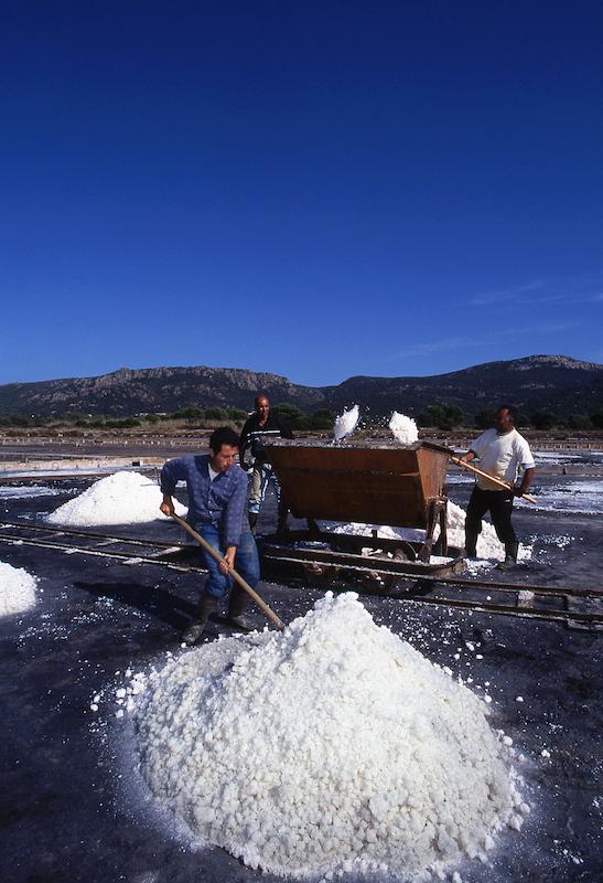 >Marais salants (photo 23)