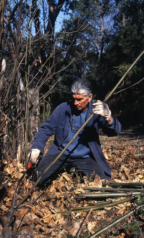 >Fabricant de spurtellu — Charles Grazi (photo 1)