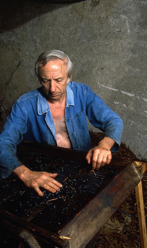 >Moulin à huile d’olive traditionnel (photo 10)