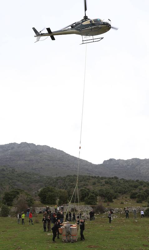 Lâcher de cerfs (photo 9)