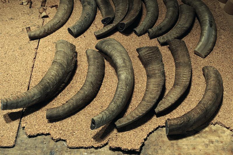 >Fabricant d’instruments de musique à vent — Romain Rancurel Giannoni (photo 3)
