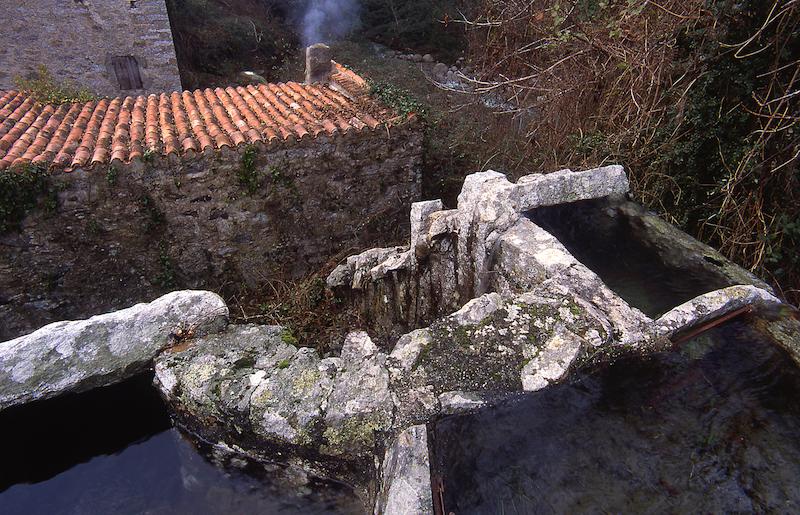 >Moulin de Bocognano — farine de châtaigne (photo 21)