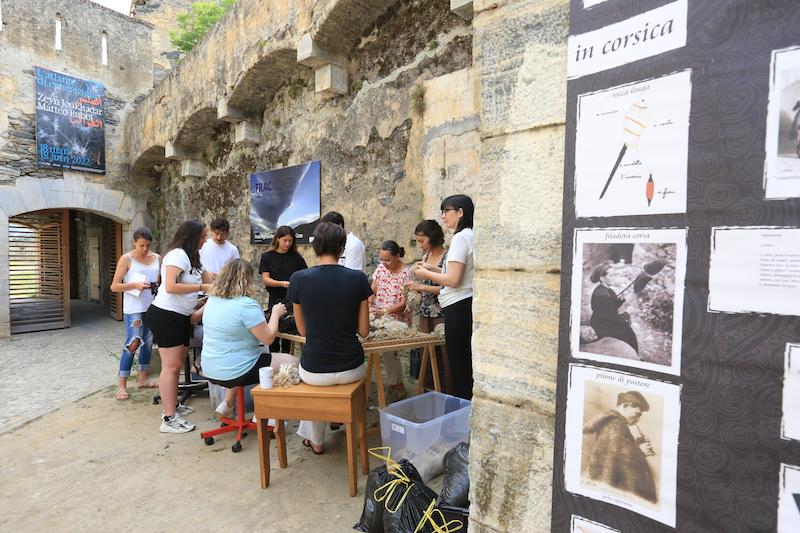 >Operata autour de la laine (photo 2)
