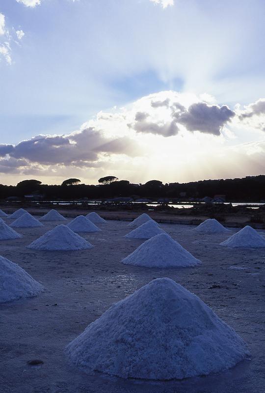 >Marais salants (photo 6)