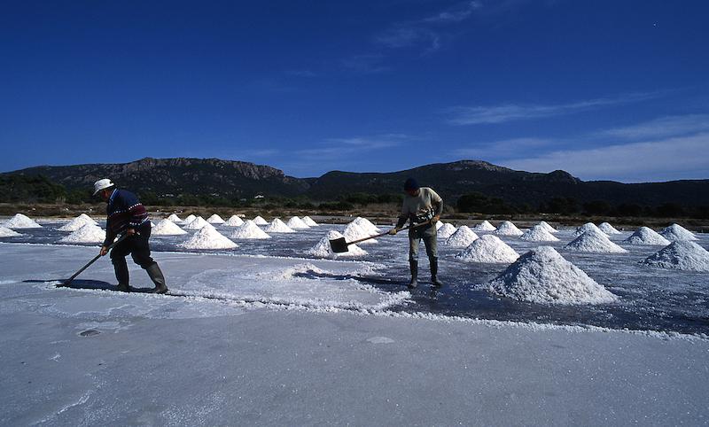 >Marais salants (photo 13)