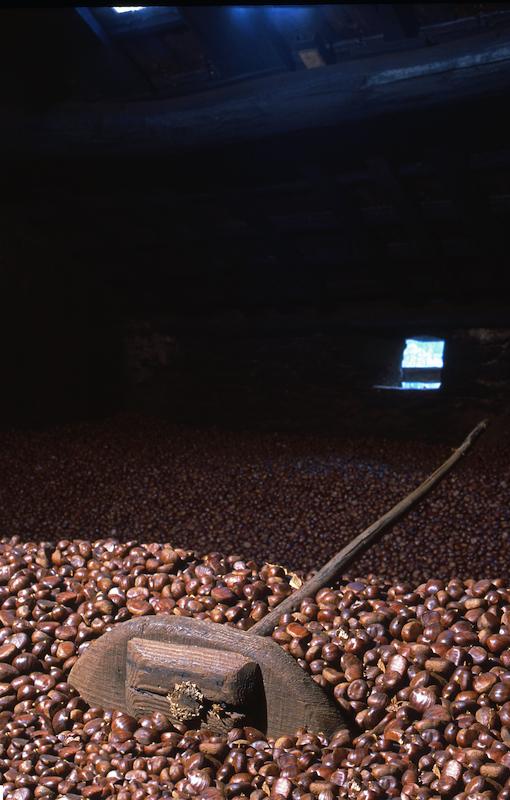 >Châtaignes : cueillette, séchage, moulin — Xavier Colombani (photo 52)