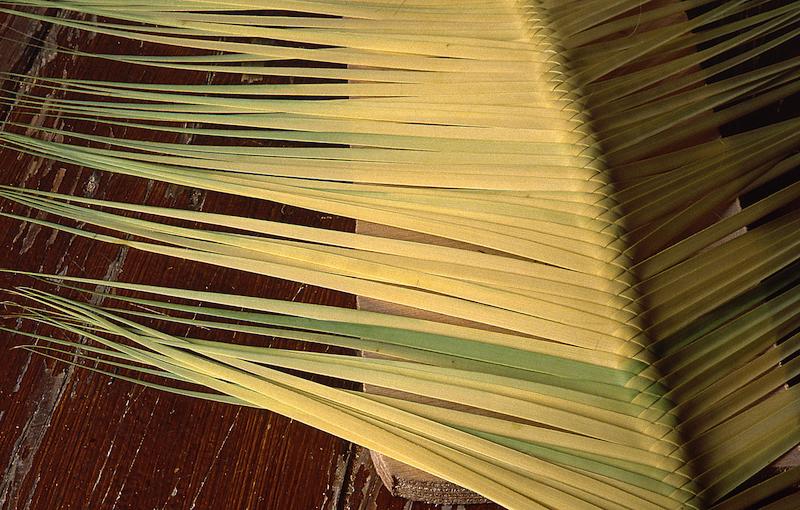 >Les Palmes - E Crucette (photo 18)