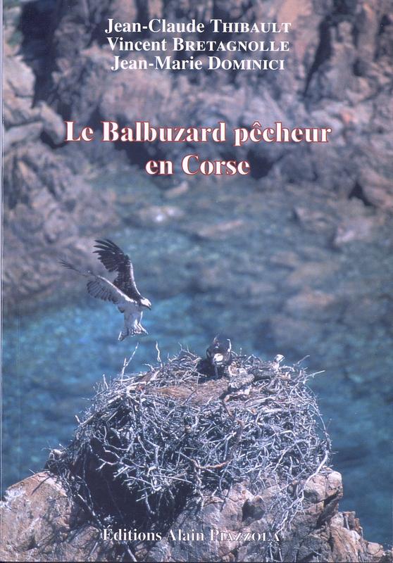 Le balbuzard pêcheur en Corse