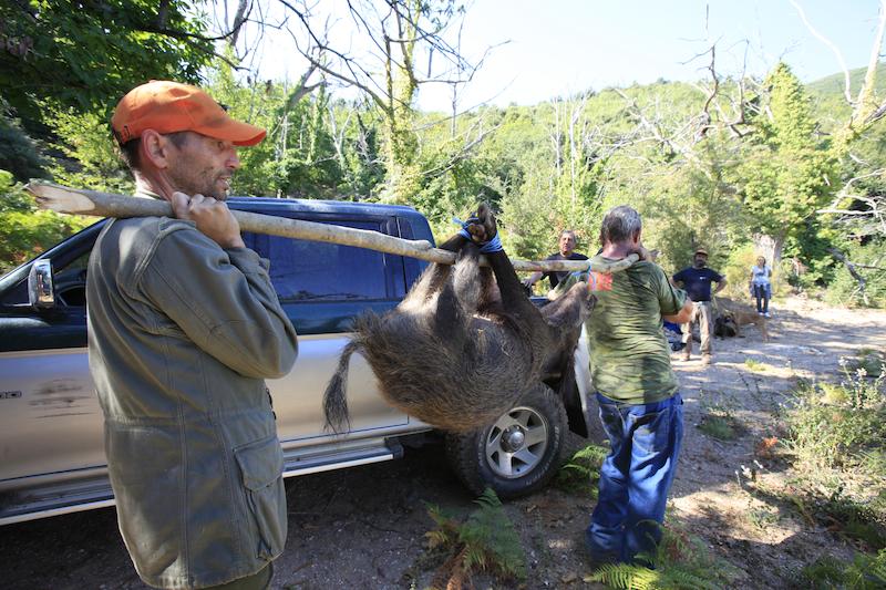 >La passion de la chasse (photo 4)