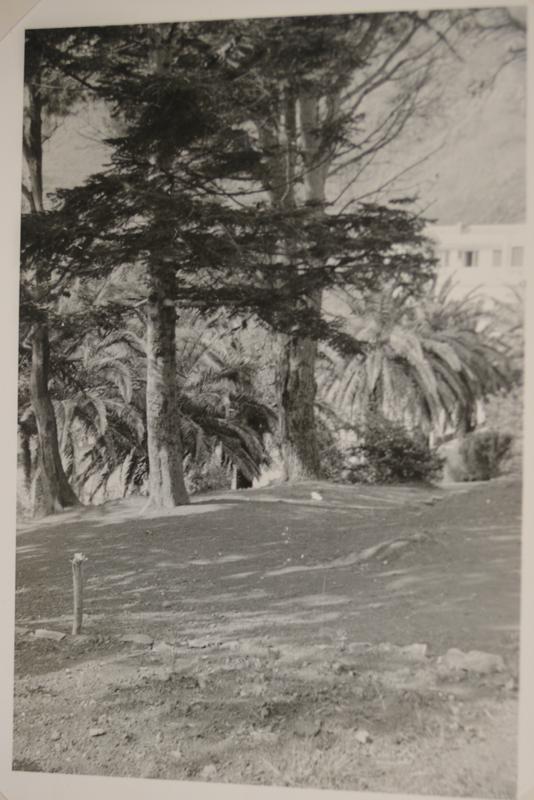 Vue extérieure de l'établissement de Figarella (1959)