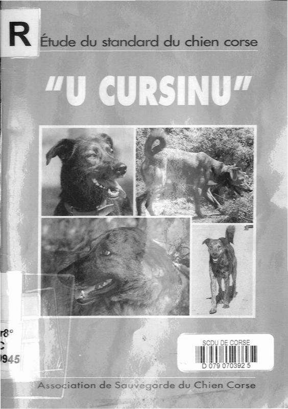 >Étude du standard du chien corse