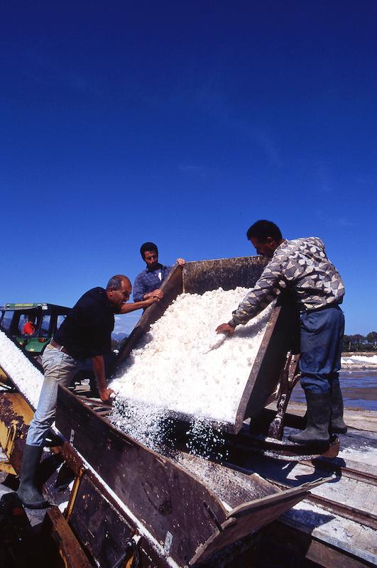 >Marais salants (photo 30)